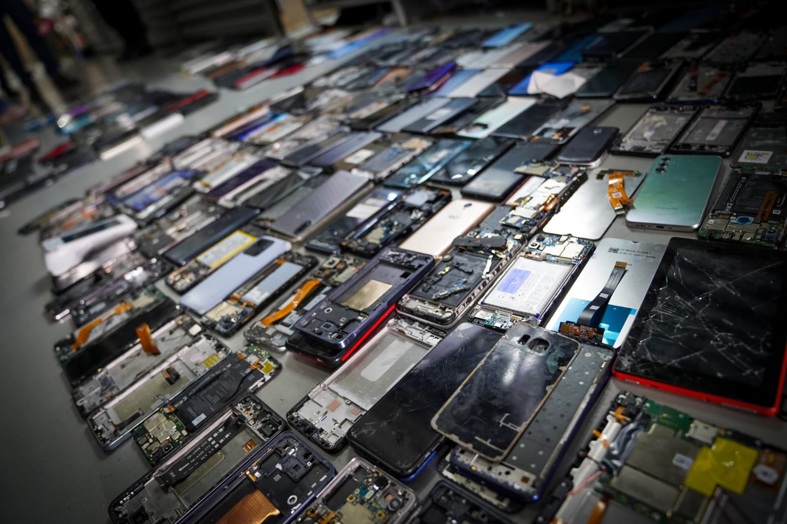 fgr-y-pnc-desmantelan-red-de-comercio-ilegal-de-electronicos-en-el-centro-de-san-salvador